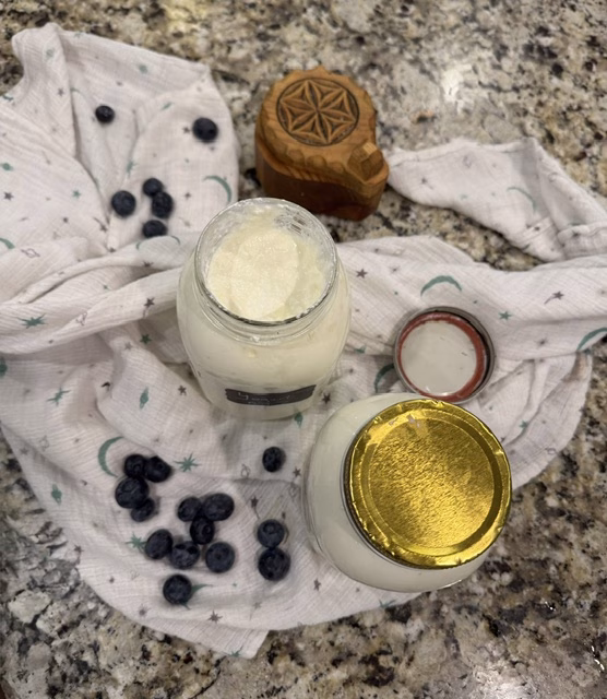 two quarts of wonderfully tasting high potency probiotic yogurt