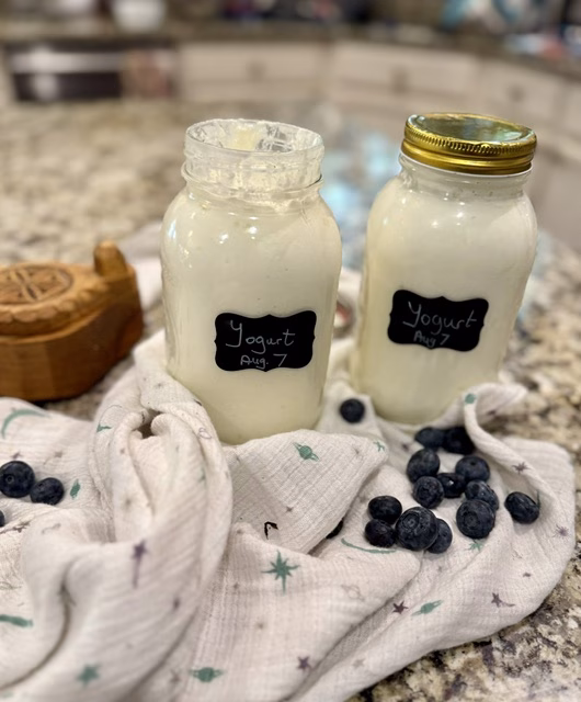 TWO QUARTS OF WONDERFULLY TASTING PROBIOTIC YOGURT